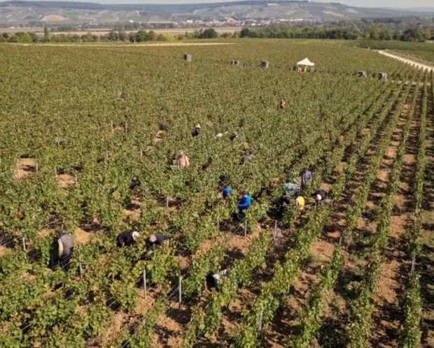 Foto: Pierre Beauvillain/AFP