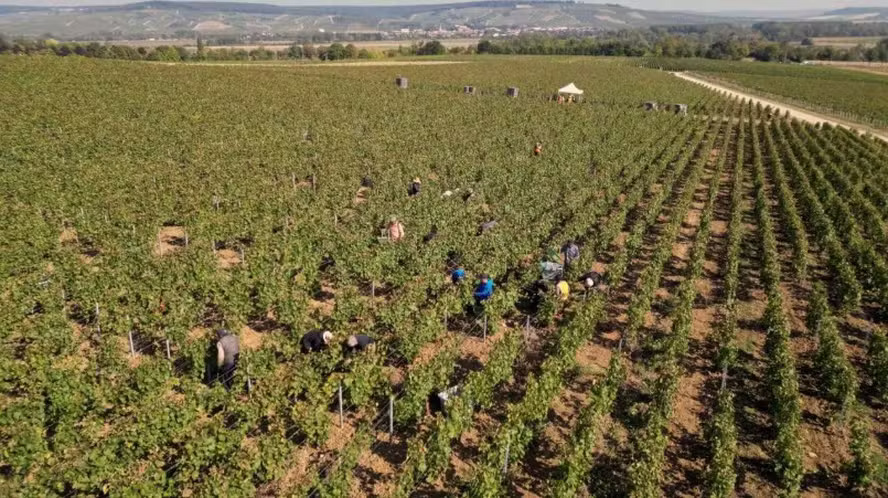 Foto: Pierre Beauvillain/AFP