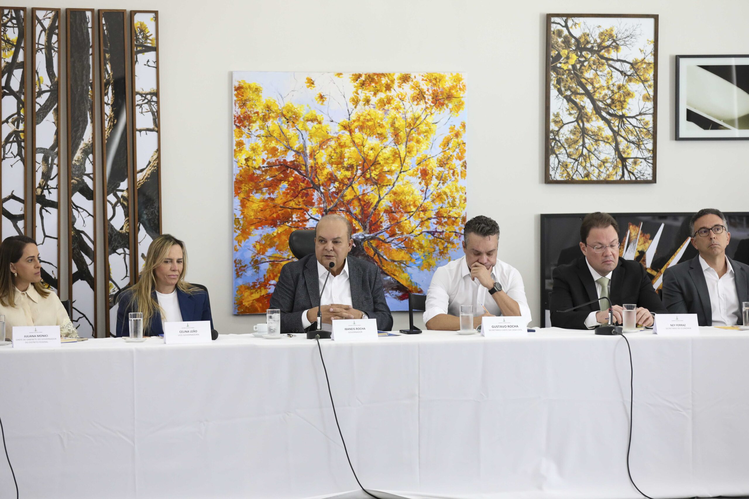 Foto: Renato Alves/Agência Brasília