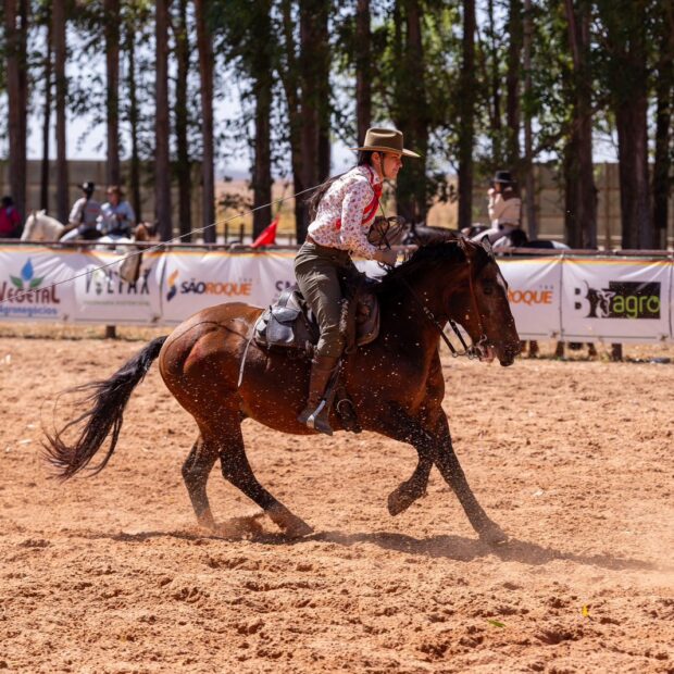 whatsapp image 2025 07 22 at 10.27.26