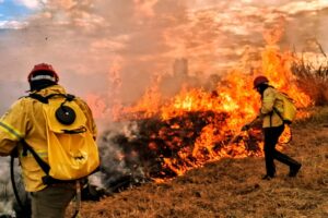22.7. combate a incêndios florestais. foto divulgação sema df
