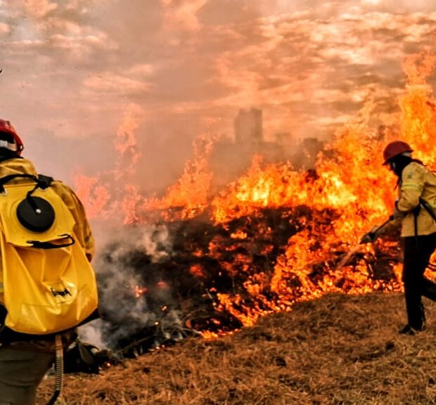 22.7. combate a incêndios florestais. foto divulgação sema df