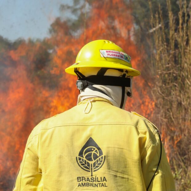Foto: Divulgação/Brasília Ambiental