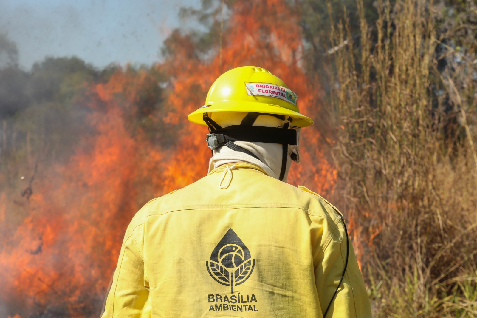 Foto: Divulgação/Brasília Ambiental