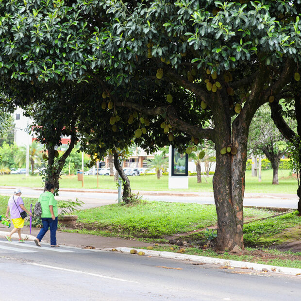 sustentabilidade ambiental urbana