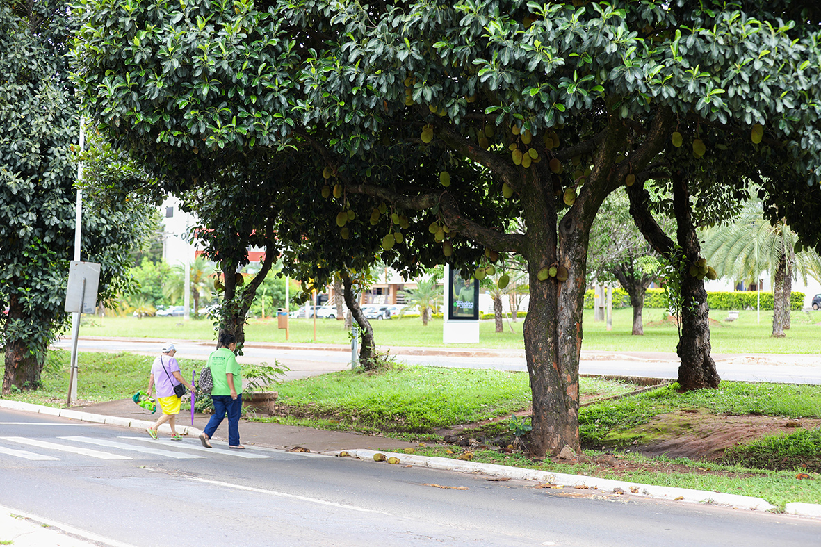 sustentabilidade ambiental urbana