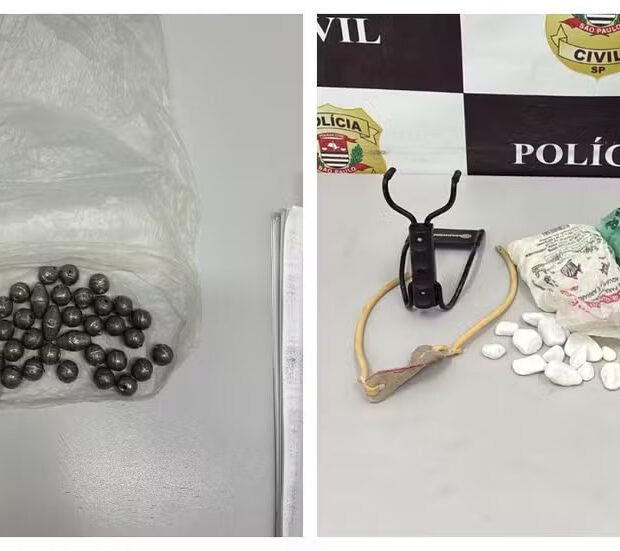 Foto: Divulgação/Polícia Civil