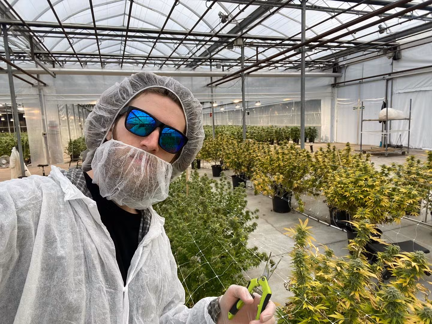 Filho de Caco Ciocler vive vida nova com ares verdes e ativismo no frio canadense
