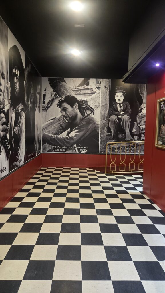 54645912656 43c671bcdd k