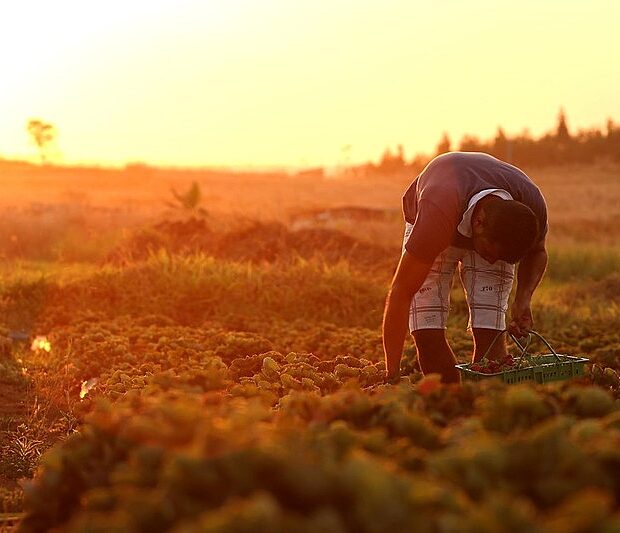 image processing20211006 12769 me5kaq