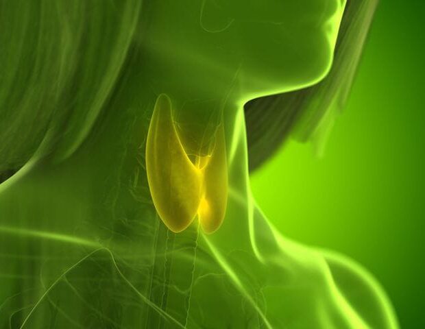 imagem do whatsapp de 2025 07 25 à(s) 12.08.55 5ec7217b