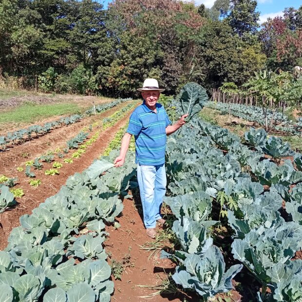 Foto: Divulgação/Emater-DF