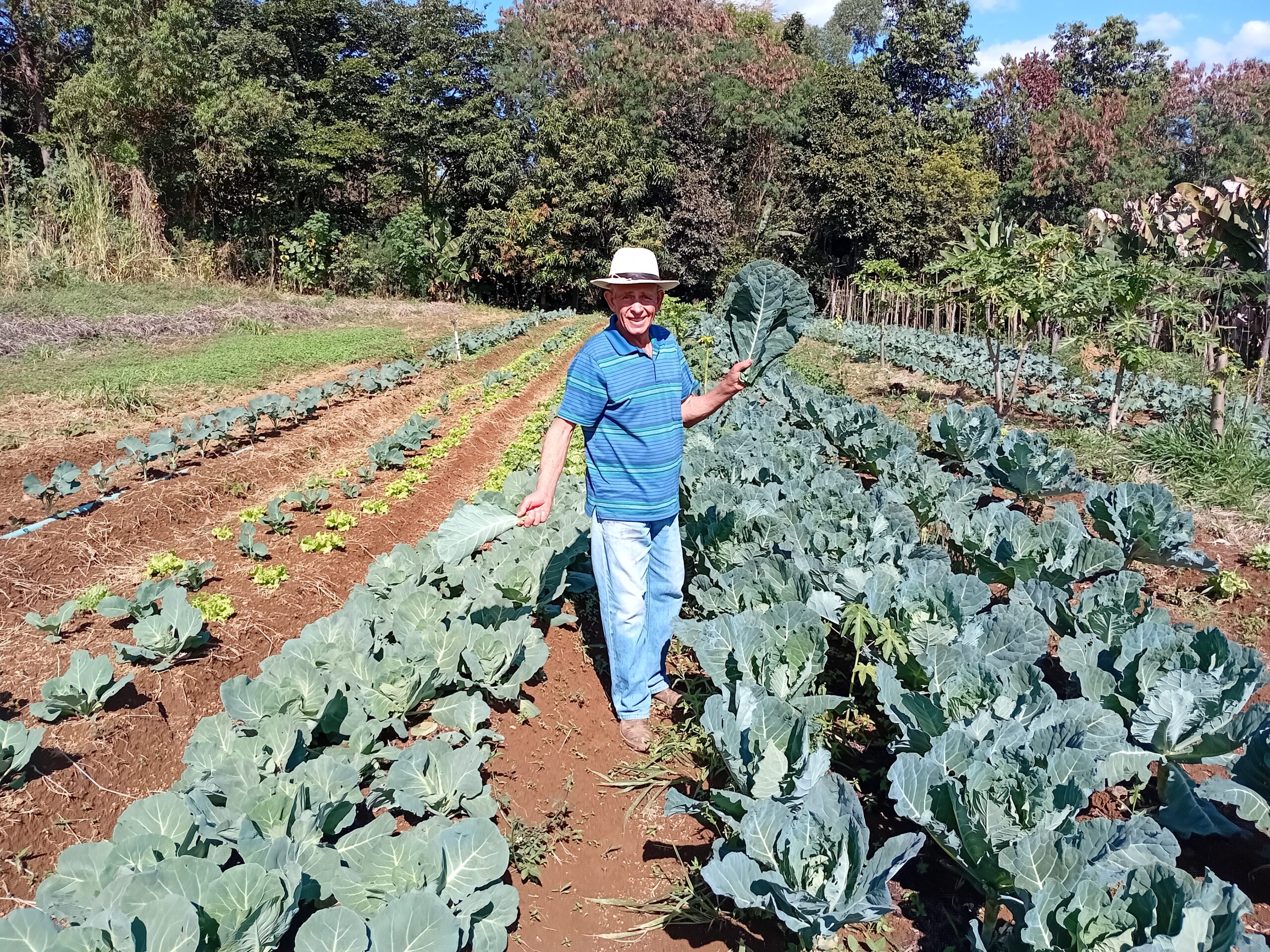 Foto: Divulgação/Emater-DF