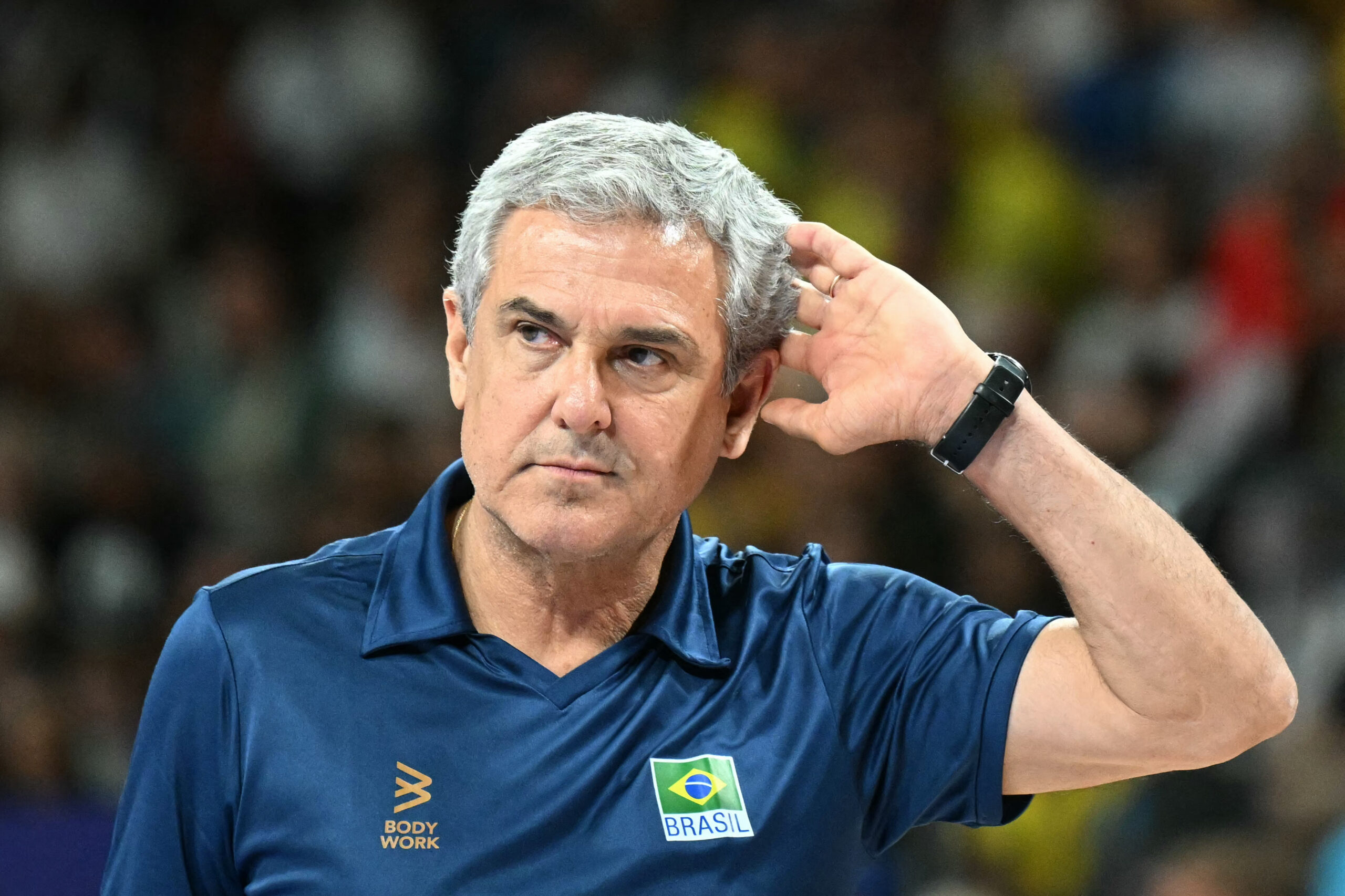 volleyball oly paris 2024 bra dom