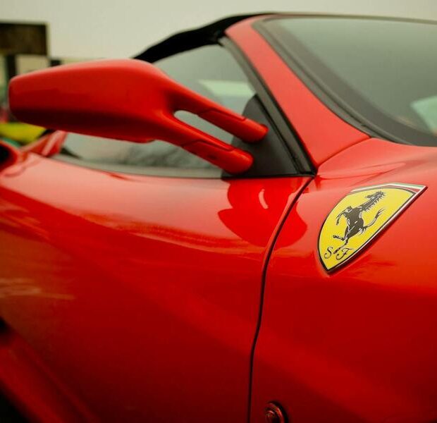 pexels jamil rostum 133324 404190