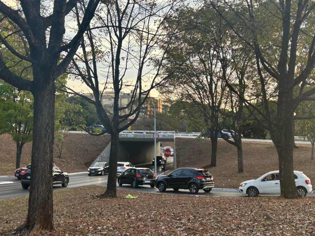 travessias inseguras no eixão créditos daniel xavier jornal de brasília