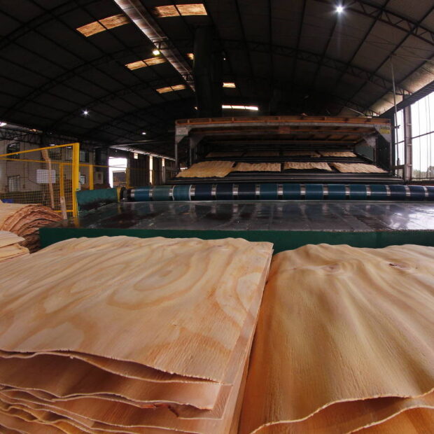 indústria de madeira tem férias coletivas e demissões no brasil por tarifaço de trump