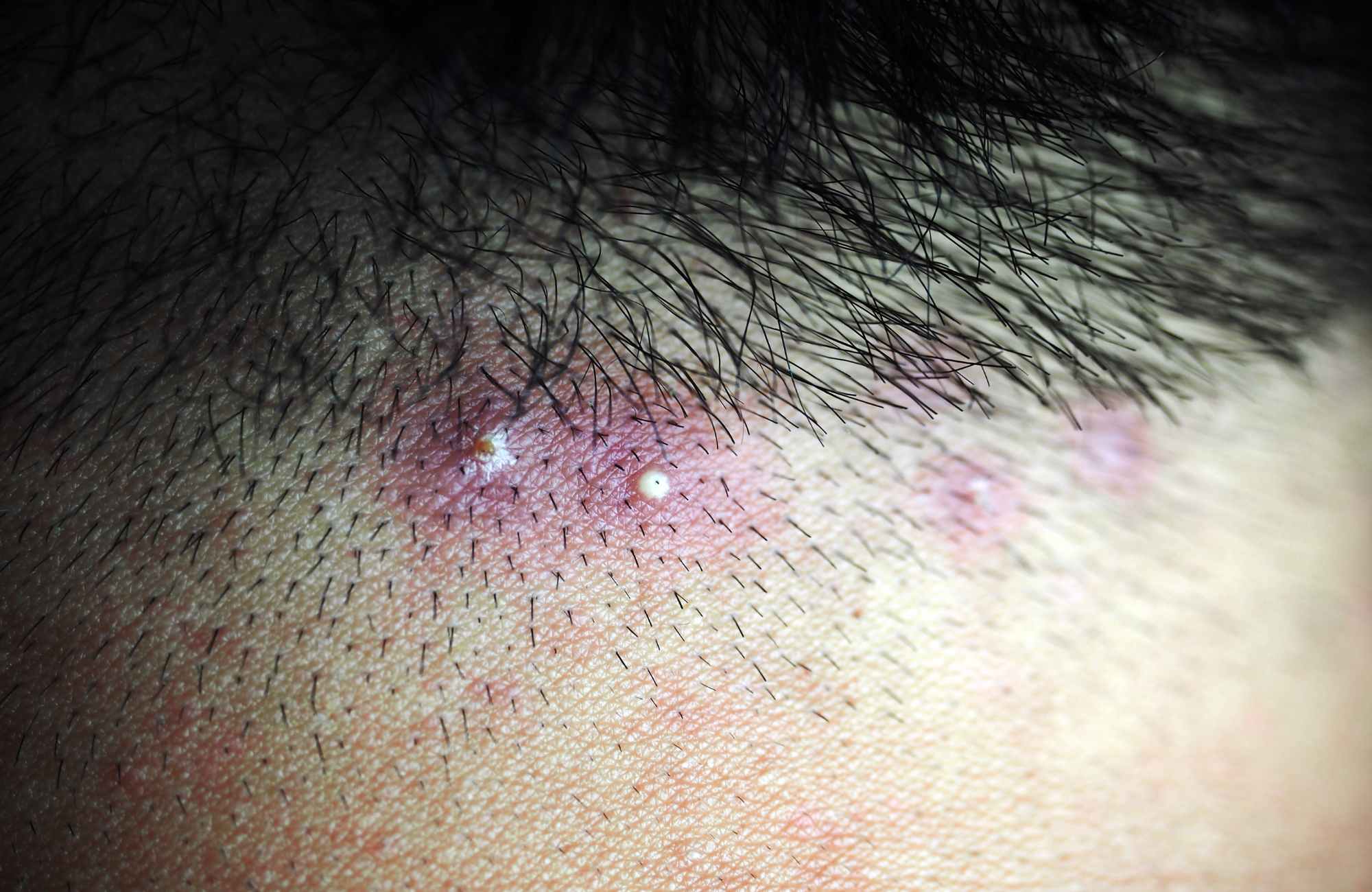 design sem nome (24)