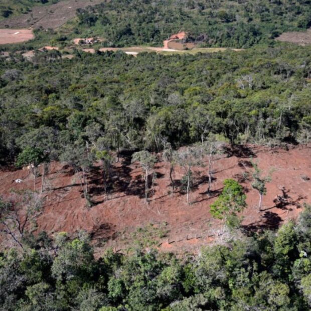 Foto: Douglas Magno/SOS Mata Atlântica/Divulgação