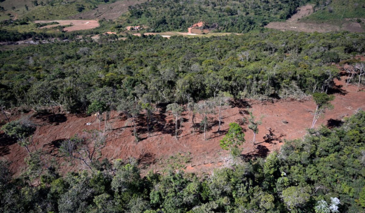 Foto: Douglas Magno/SOS Mata Atlântica/Divulgação