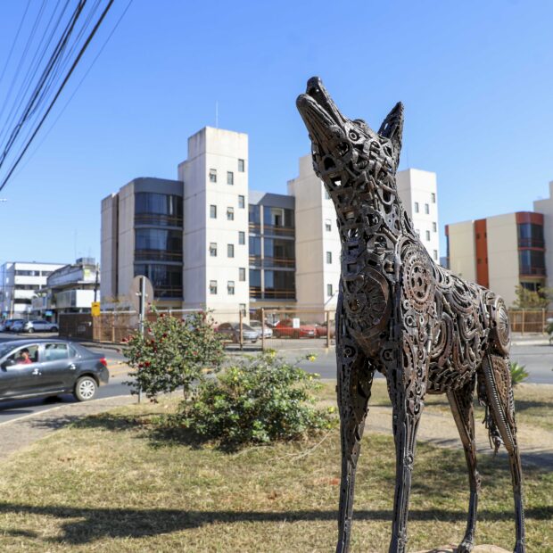Foto: Lúcio Bernardo Jr./Agência Brasília