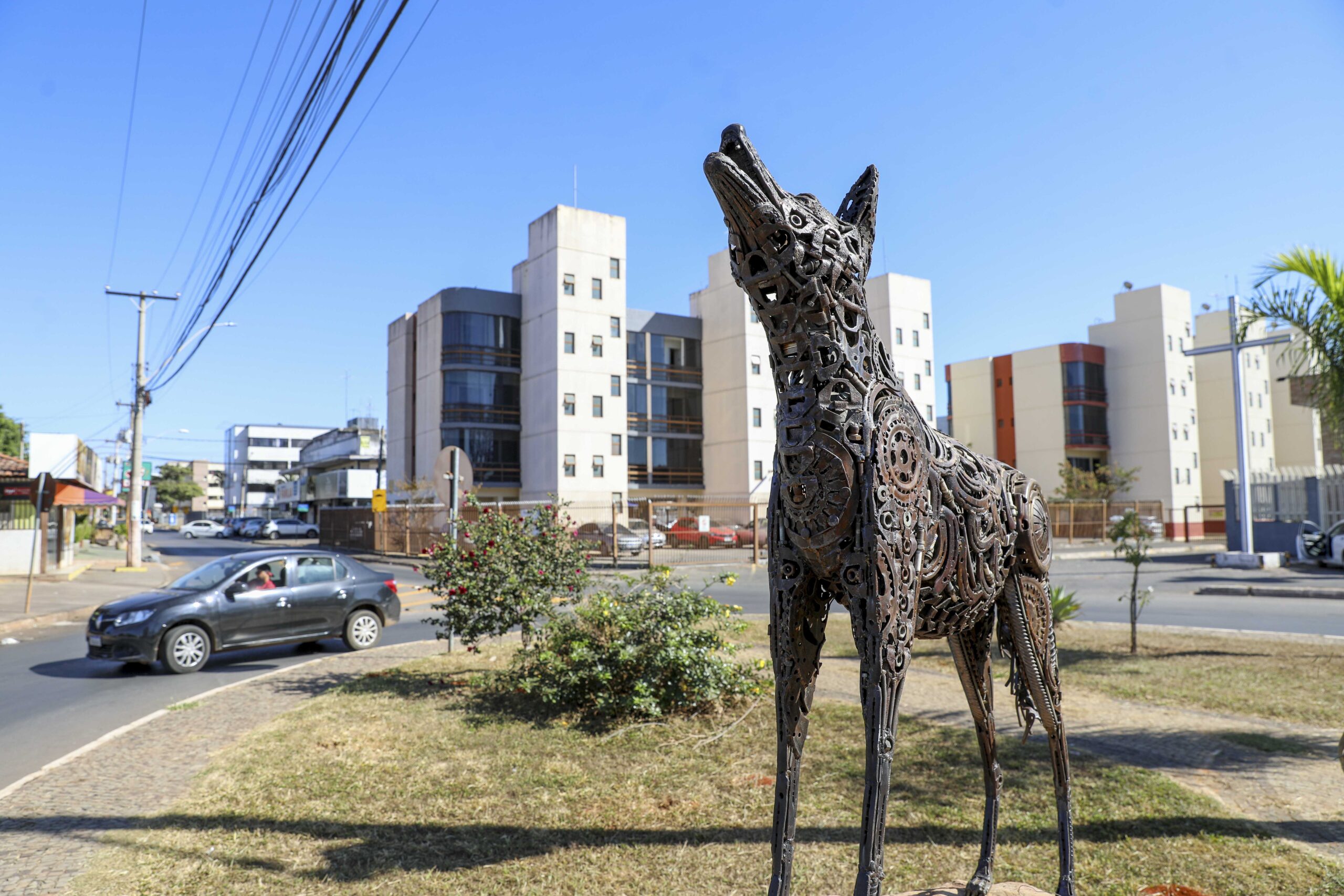 Foto: Lúcio Bernardo Jr./Agência Brasília
