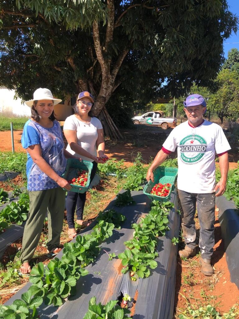 Foto: Material cedido ao Jornal de Brasília 