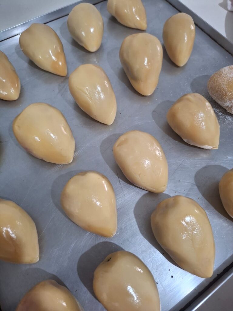 Foto: Material cedido ao Jornal de Brasília 