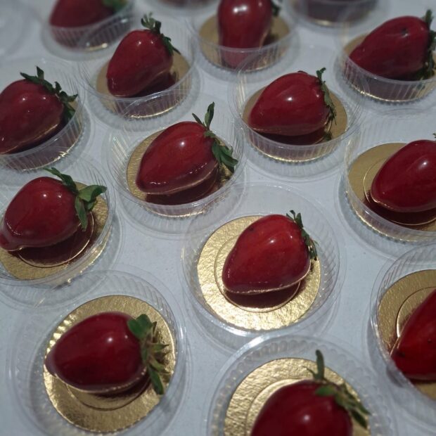 Foto: Material cedido ao Jornal de Brasília