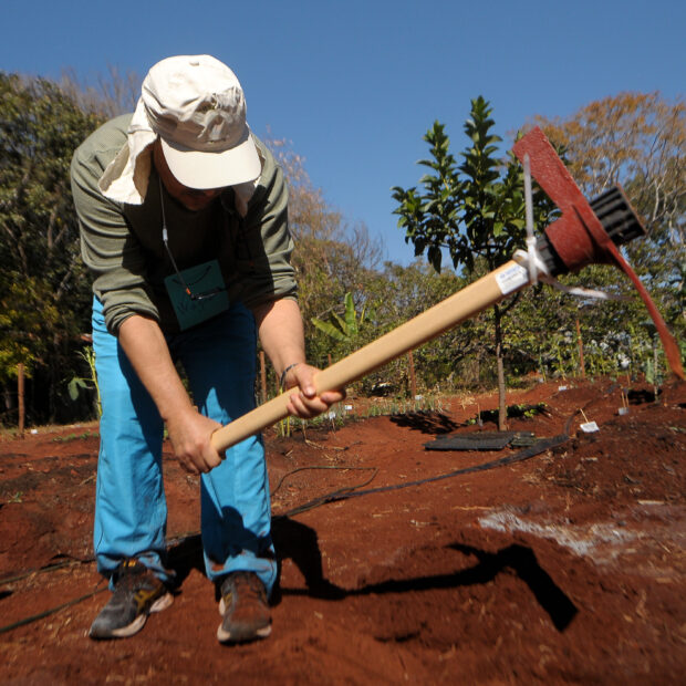 Foto: Matheus Oliveira/ Agência Saúde-DF