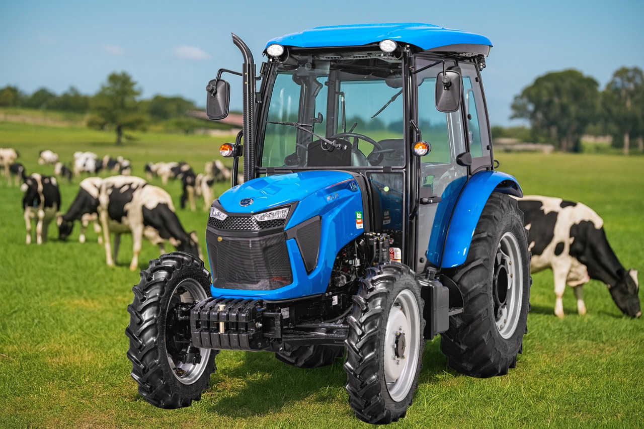 whatsapp image 2025 07 29 at 17.32.02