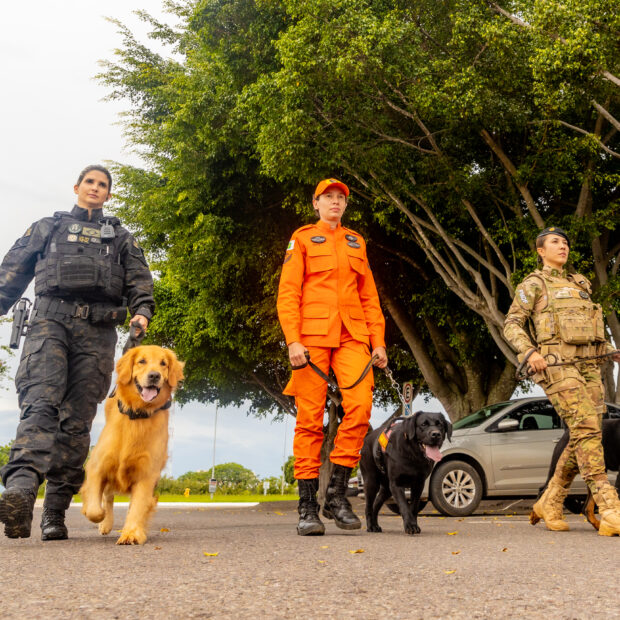 Foto: Divulgação/SSP-DF