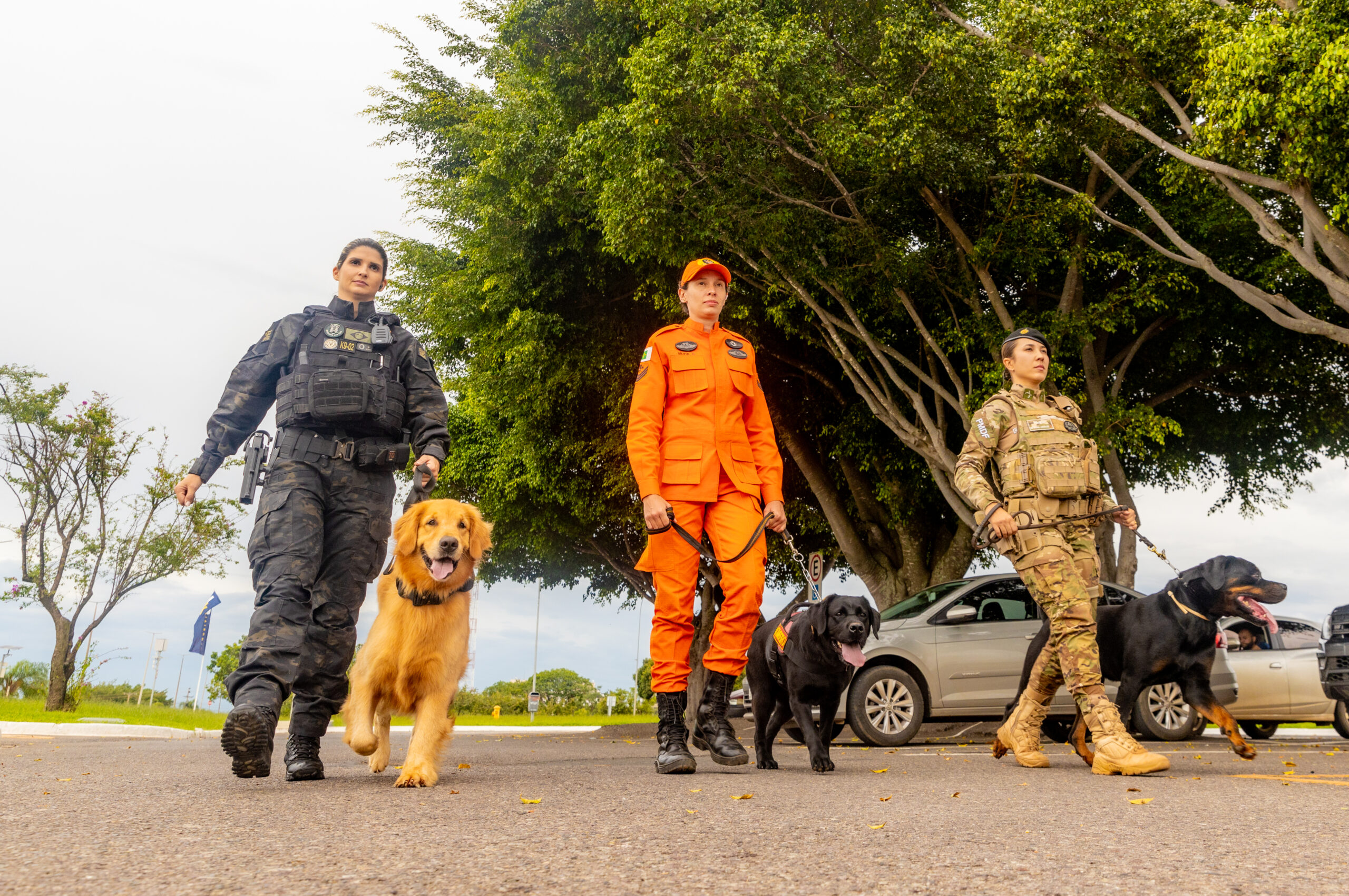 Foto: Divulgação/SSP-DF