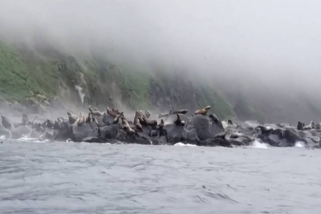 1753925072688ac5d0bfaad 1753925072 3x2 lg