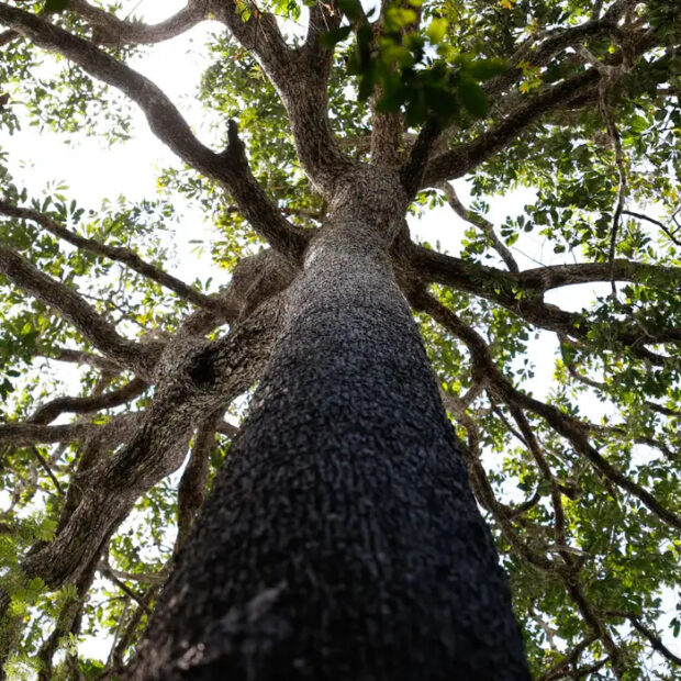 Foto: Fernando Frazão/Agência Brasil