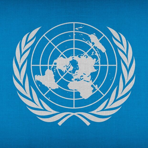 Logo ONU