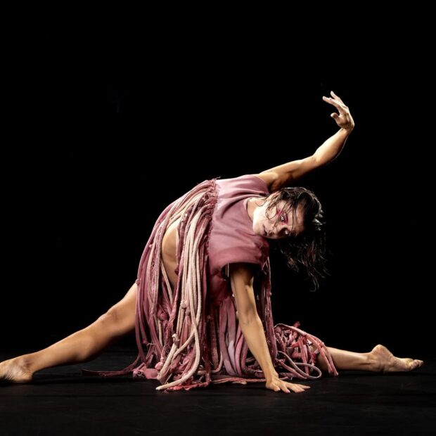 entre a pele e a alma focus cia de danca