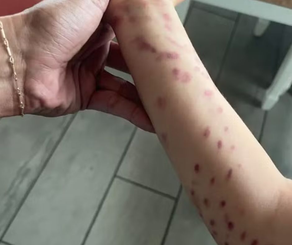 imagem do whatsapp de 2025 08 01 à(s) 15.07.32 5dde5f0a