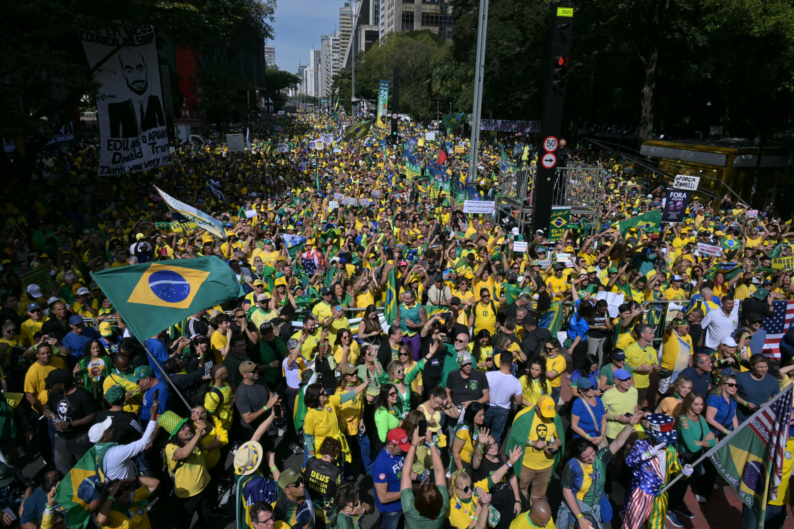 brazil politics bolsonaro supporters demo