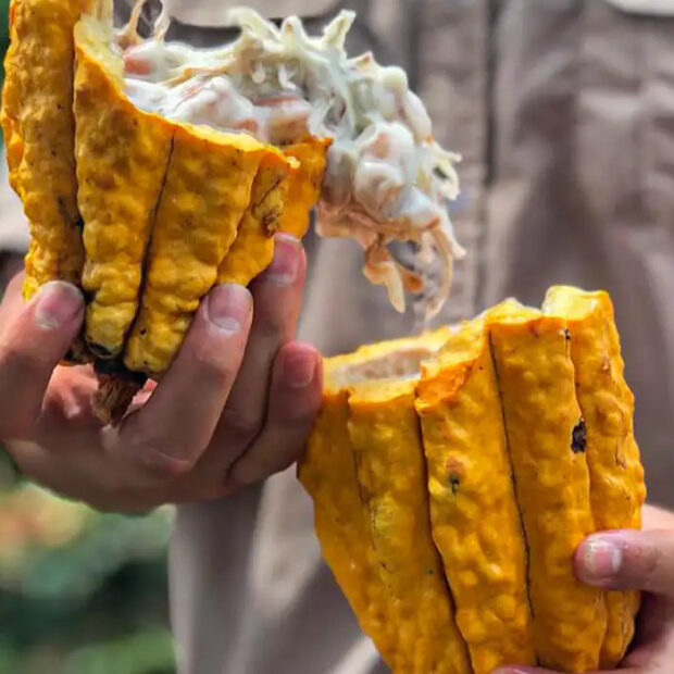 Foto: Paula Laboissiêre/Agência Bras