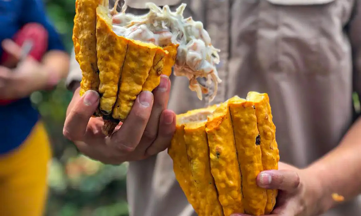Foto: Paula Laboissiêre/Agência Bras