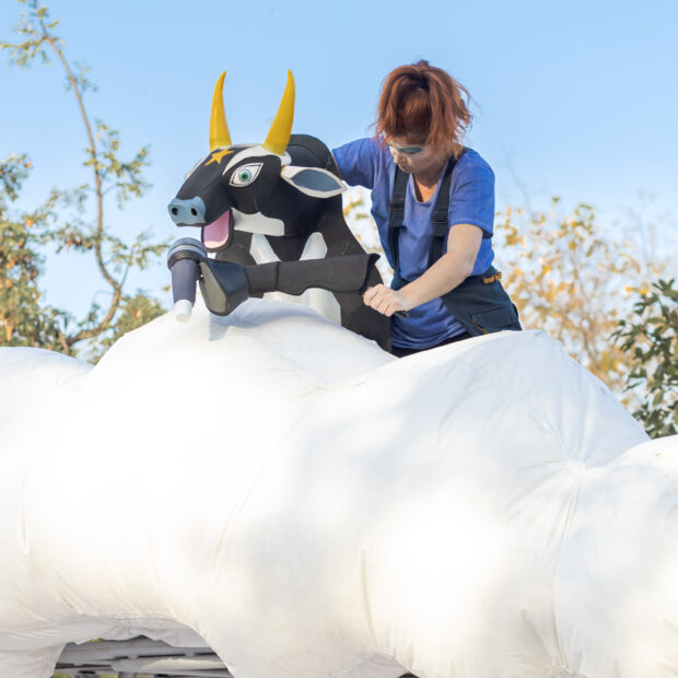 10 foto joão valadares