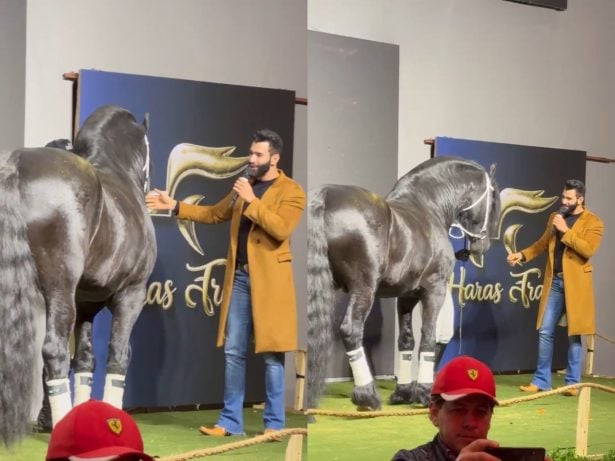 Astro sertanejo vende metade do garanhão Oregon em evento milionário no Palácio Tangará e exalta o “melhor exemplar da América Latina”