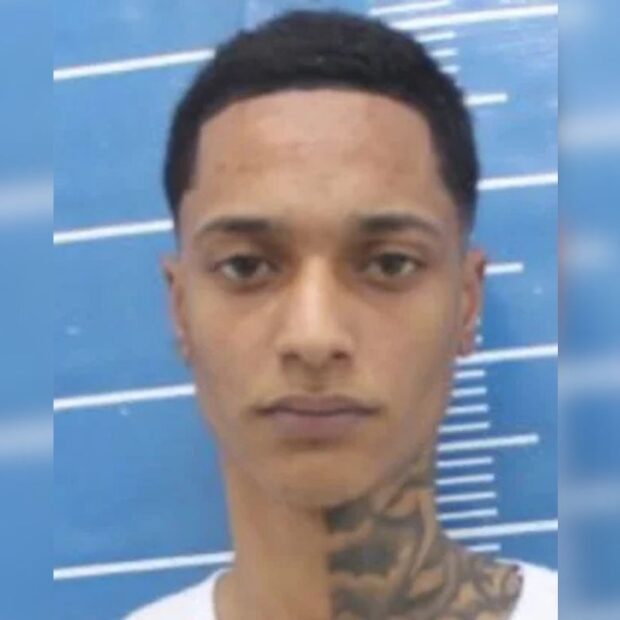 imagem do whatsapp de 2025 08 05 à(s) 14.44.23 ced98c8c