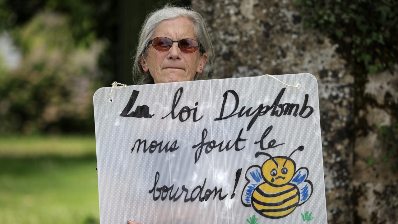 Foto: VALENTINE CHAPUIS/AFP