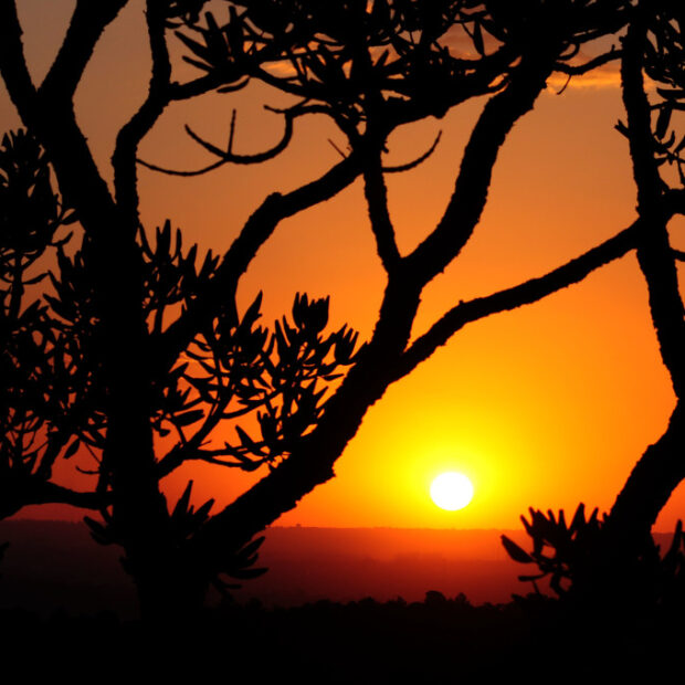 Foto: Arquivo/Agência Brasília