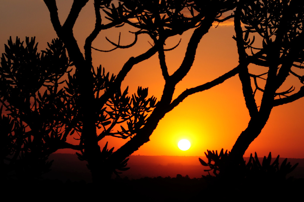 Foto: Arquivo/Agência Brasília