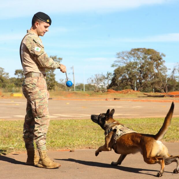 Foto: Paulo H. Carvalho/Agência Brasília