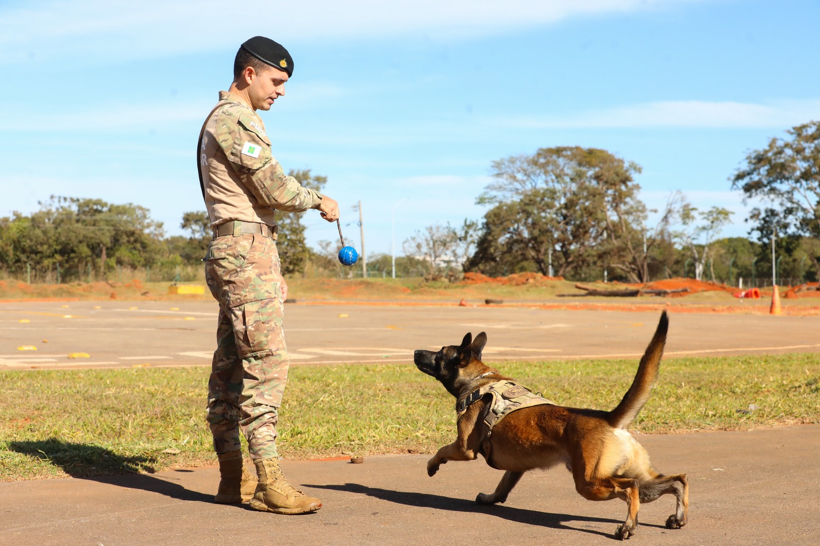 Foto: Paulo H. Carvalho/Agência Brasília