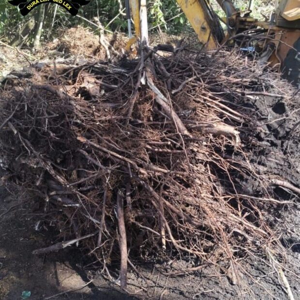 whatsapp image 2025 08 09 at 10.32.40